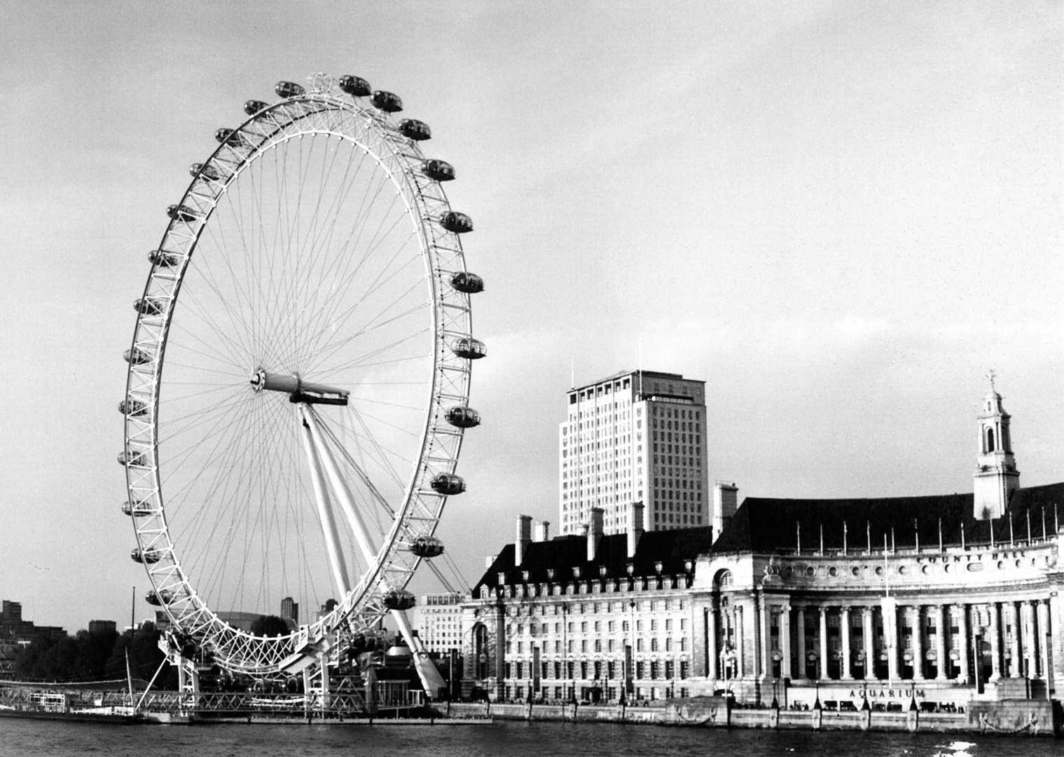 London Eye + Aquarium b/n