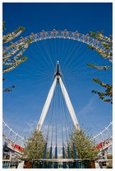 London Eye