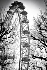 London eye 