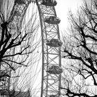 London eye 