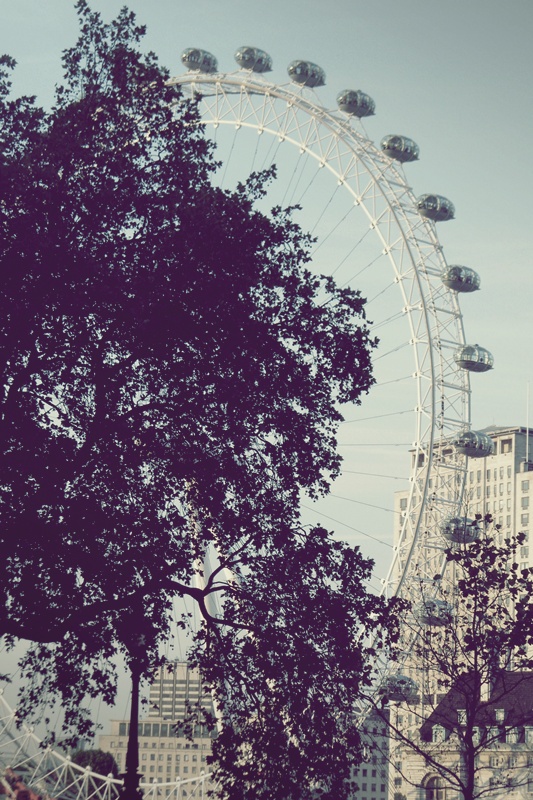 London Eye. :)