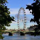 London Eye - Day