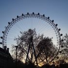 London Eye