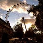 London Eye