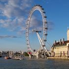 London-Eye im Abendlicht