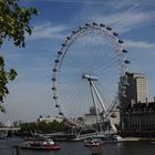 London Eye im Frühling