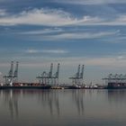 London Gateway, early summer morning.  Waiting for a ship.