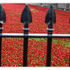 London gedenkt seiner im 1. Weltkrieg gefallenen Soldaten - 2