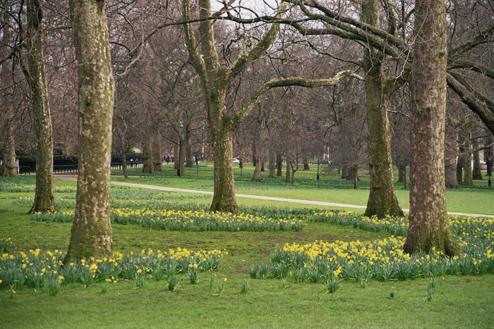 London Green Park