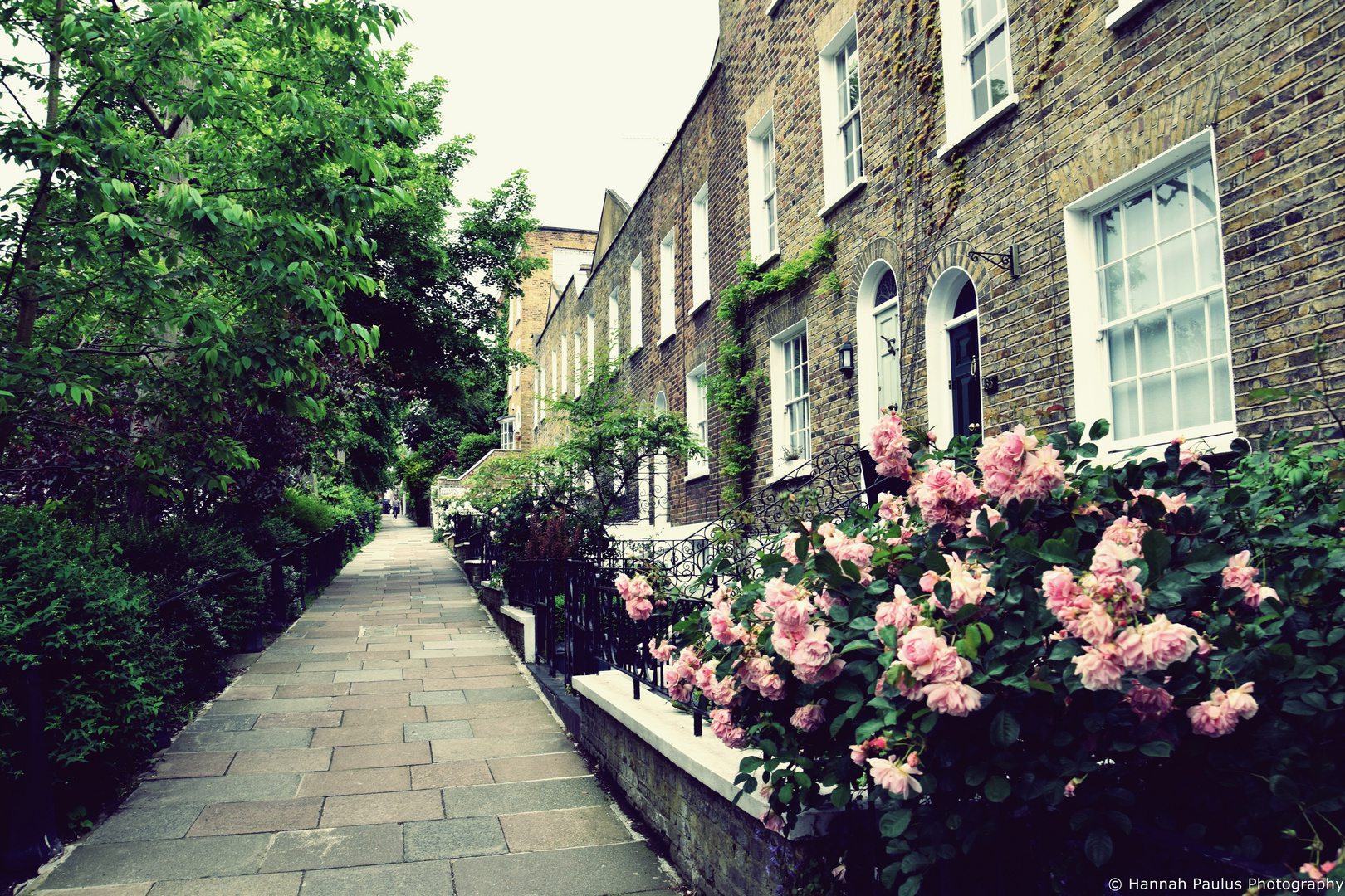 London - Hampstead