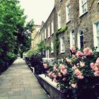 London - Hampstead