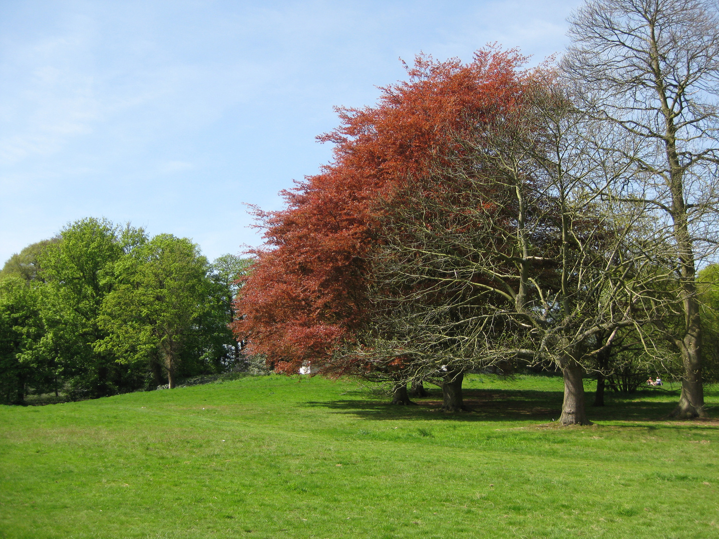 London - Hampstead Heath