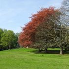 London - Hampstead Heath