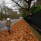 London Herbst