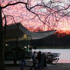 London - hyde park - the serpentine