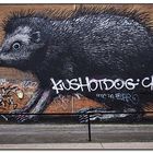 London Juni 2013 Street Art