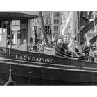 [london - lady daphne]