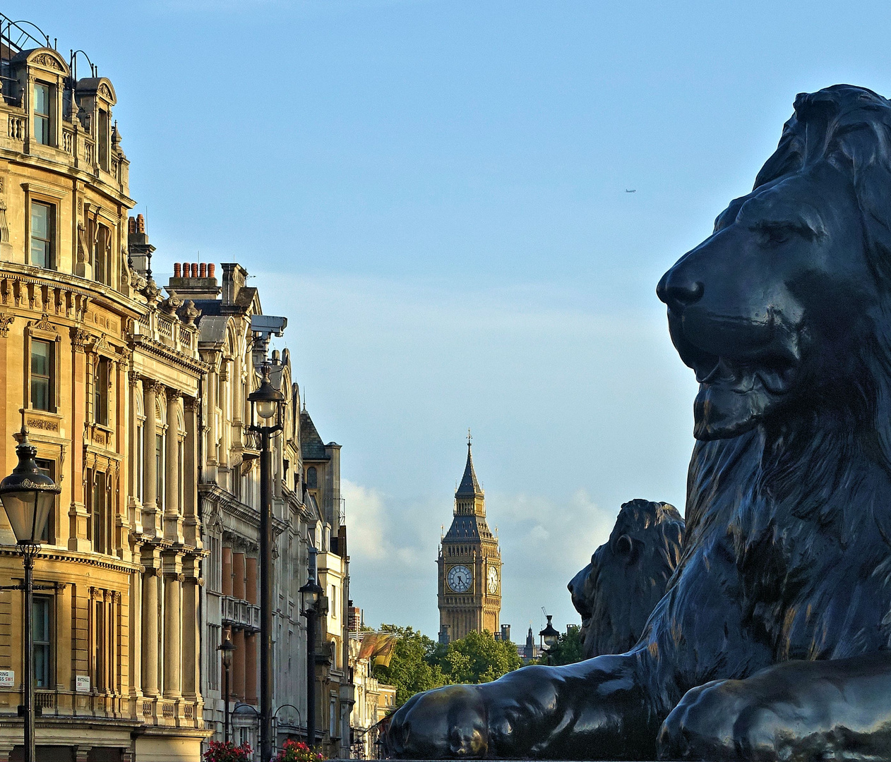 london    löwen-blick 