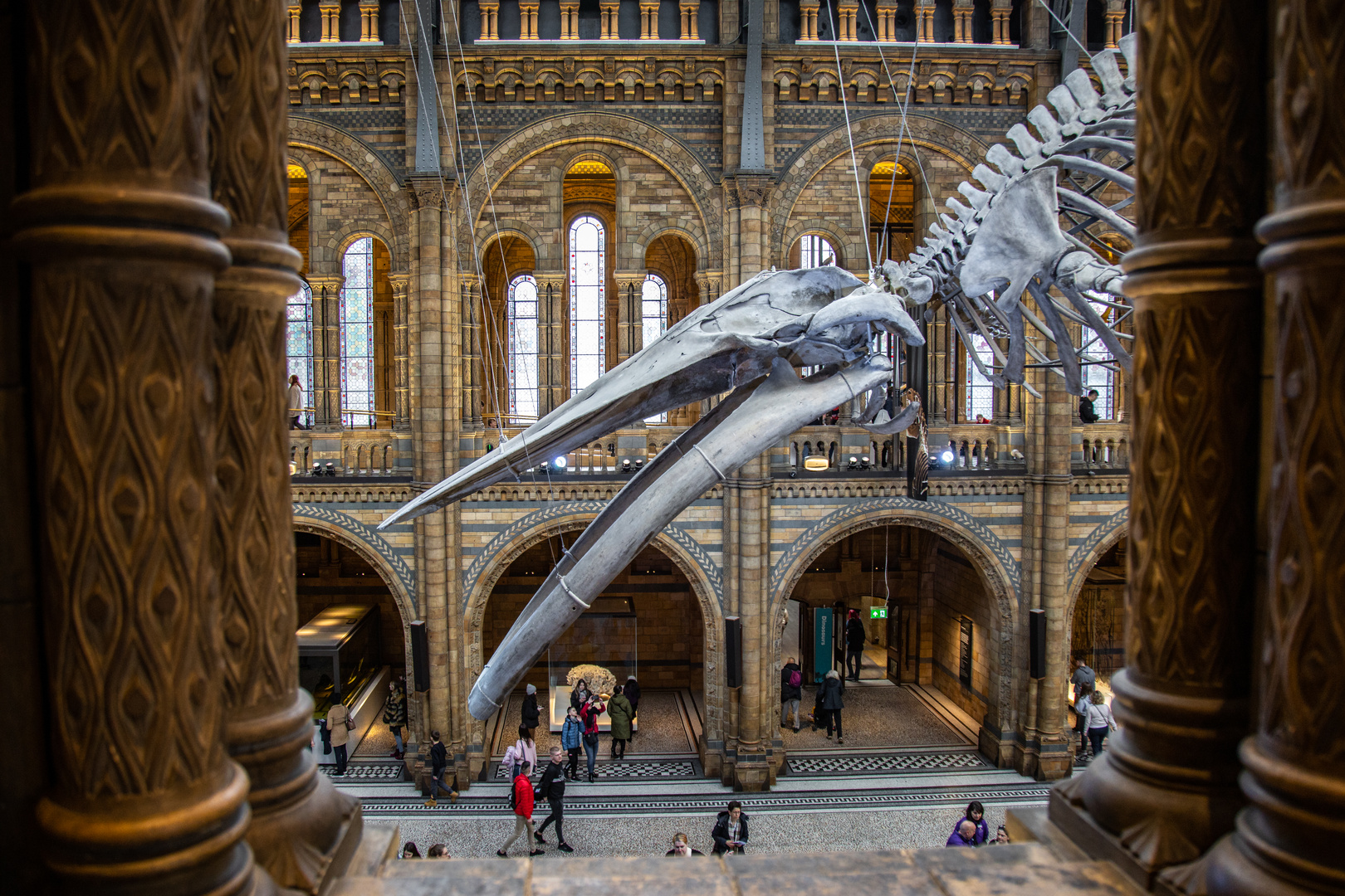 London Natural History Museum