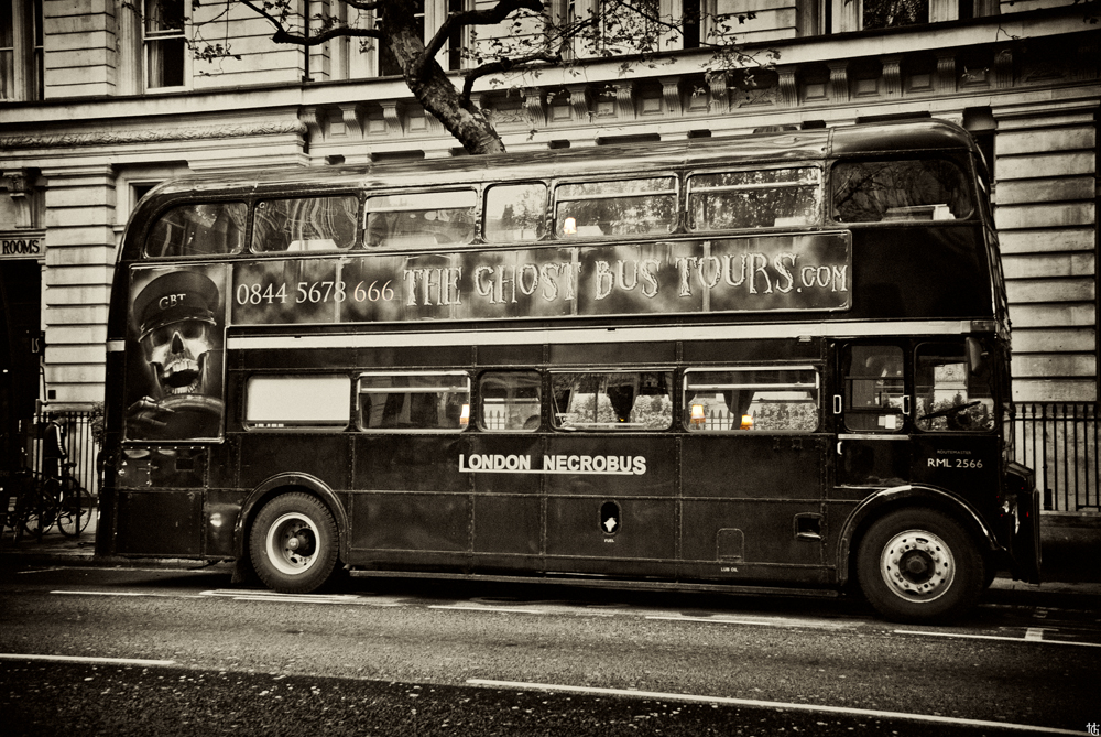 LONDON NECROBUS