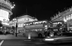 London piccadilly by night