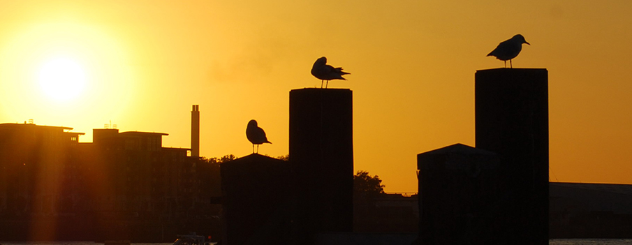 London Sunset