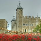 London - The Tower II