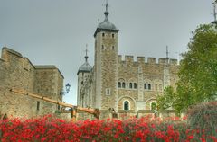 London - The Tower II
