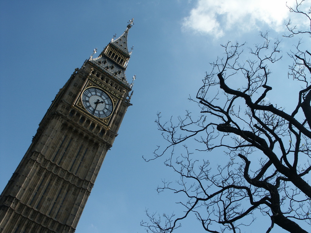 London tree