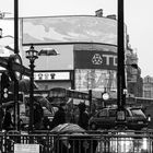 London (UK) - Piccadilly Circus