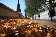 Londoner Herbst an der Themse