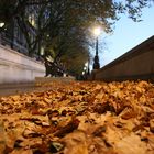 Londoner Herbst entlang der Themse