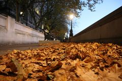 Londoner Herbst entlang der Themse