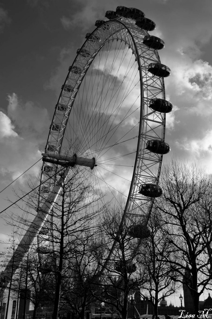 Londoneye