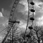 Londoneye