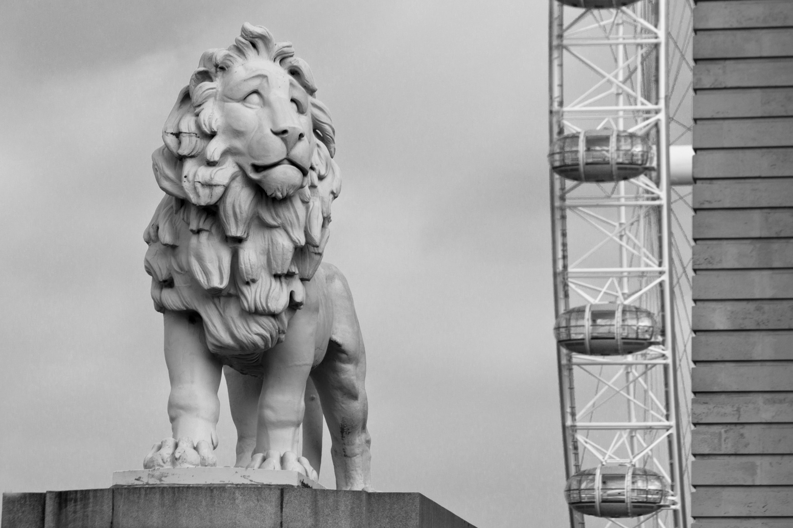 Londons Lion-Eye