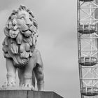 Londons Lion-Eye