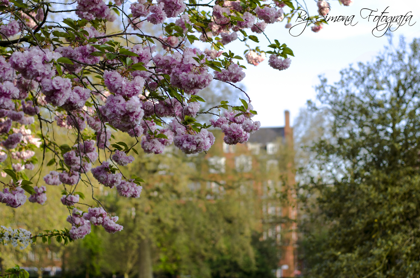 Londra a maggio.