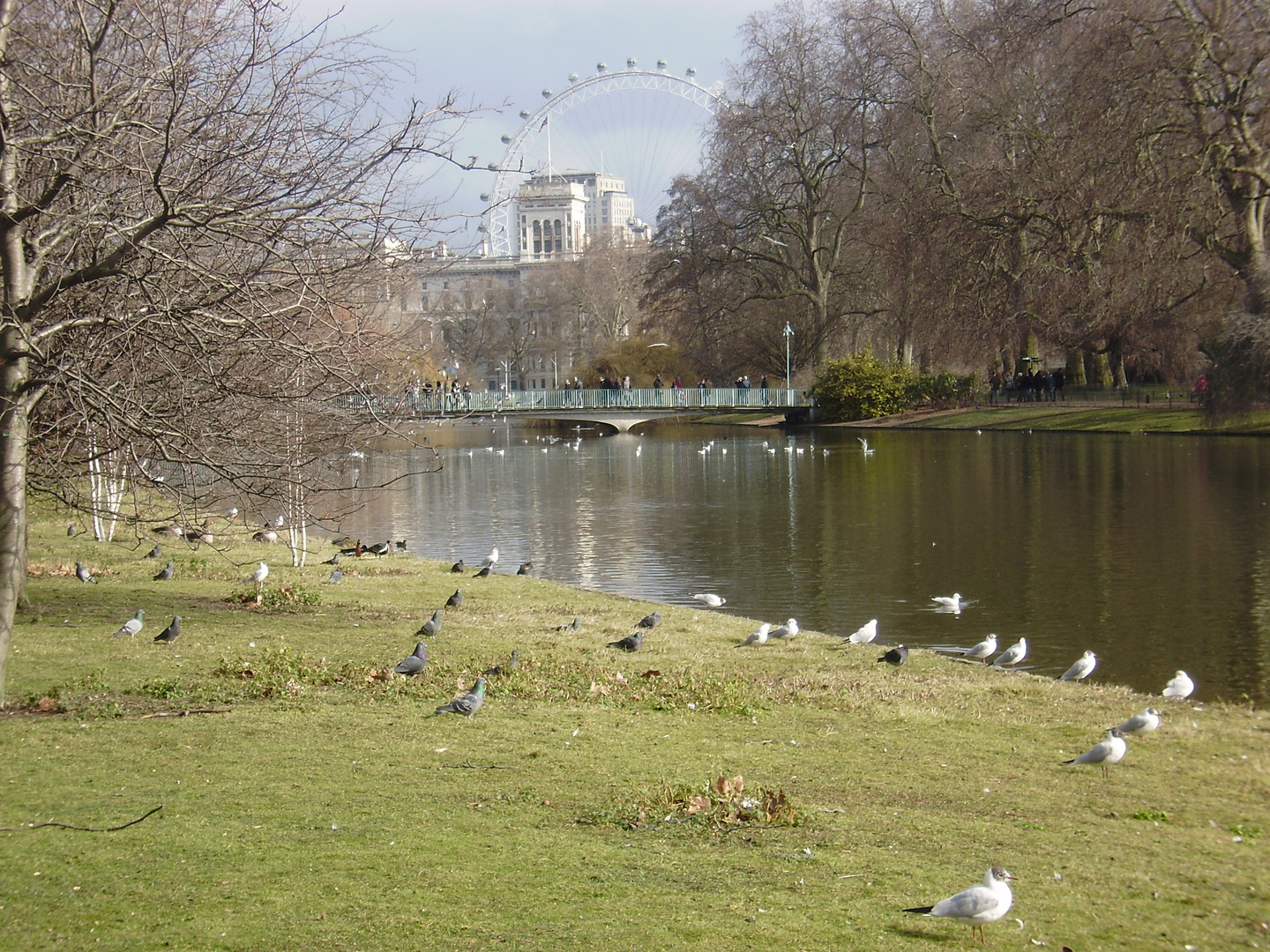 Londra - St James Park