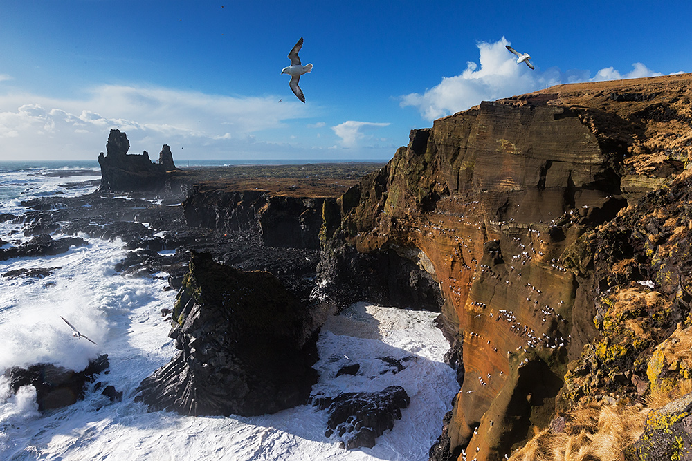 Londrangar basalt cliffs