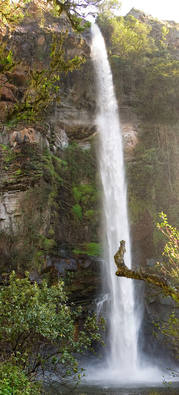 Lone creek-waterfall