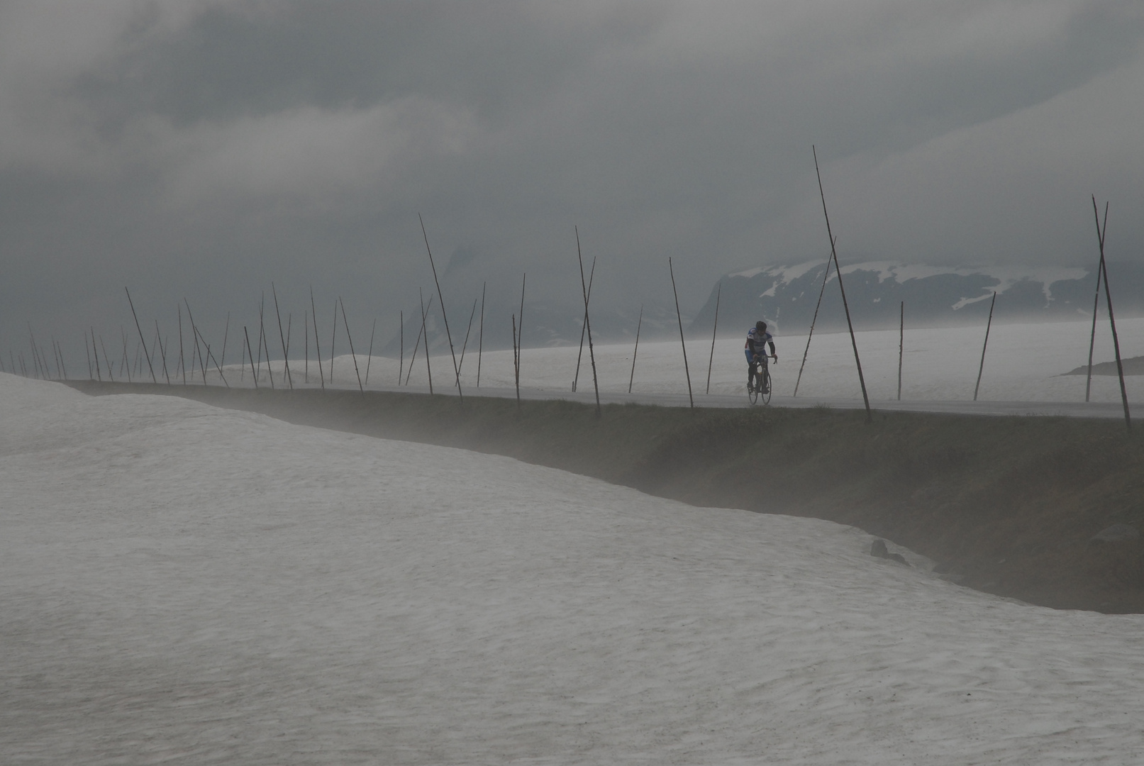 Lone Cyclist