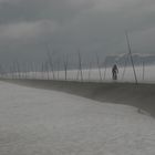 Lone Cyclist