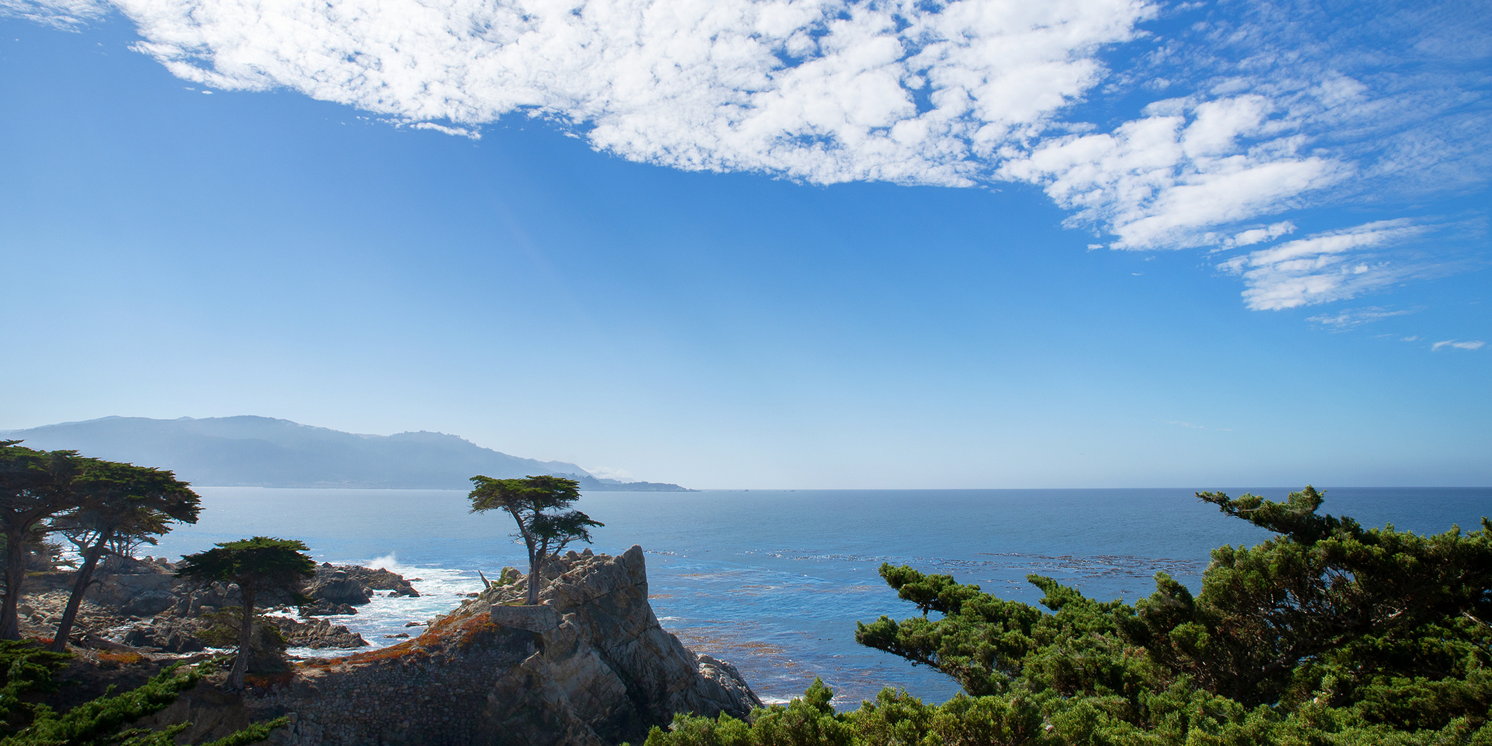 Lone Cypress