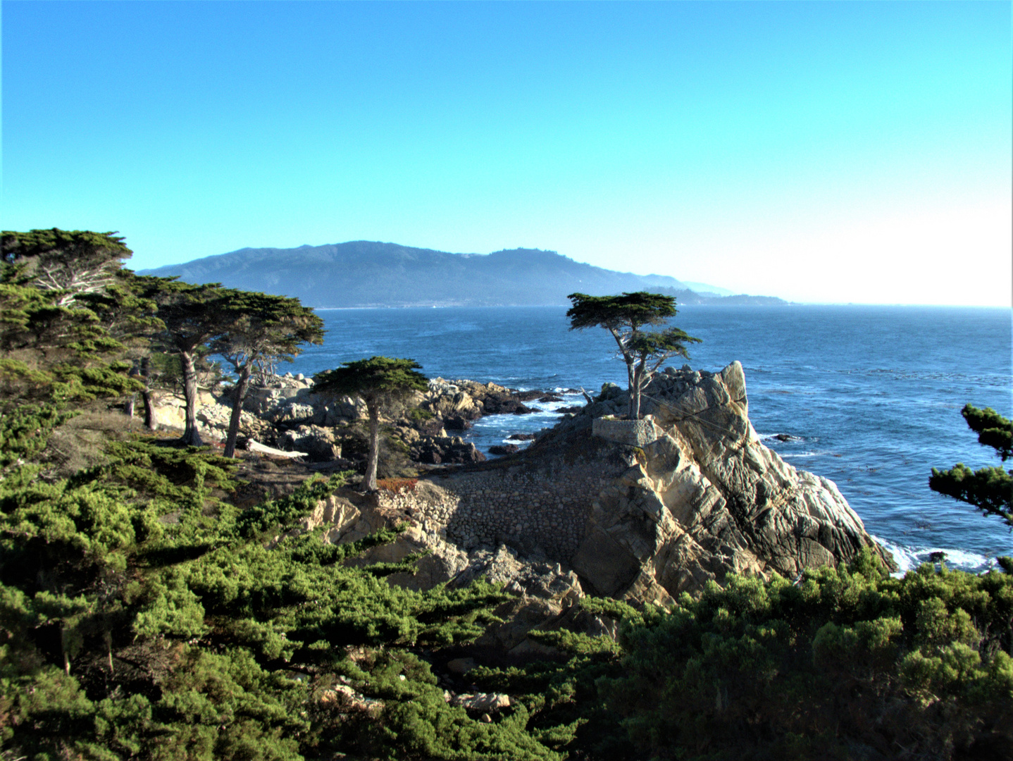 Lone Cypress, CA