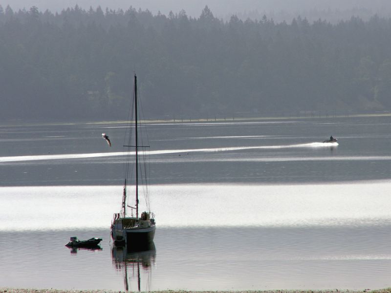 Lone Fisherman