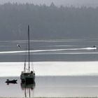 Lone Fisherman