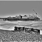 LONE LIFEGUARD