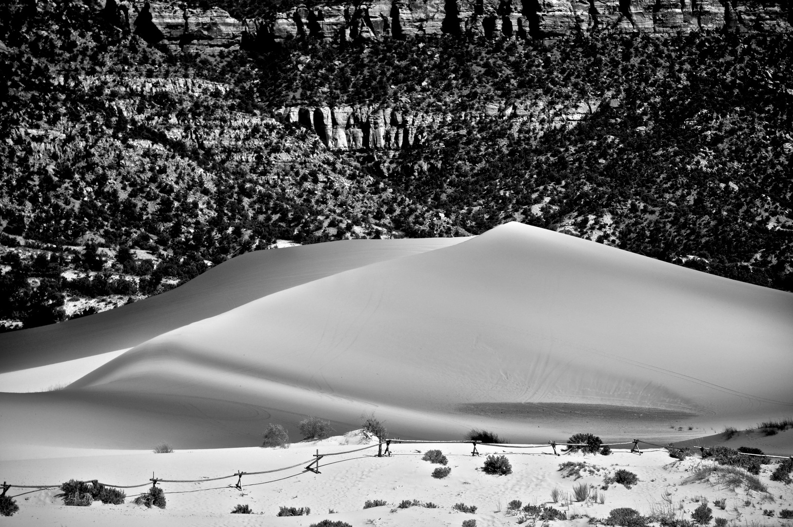 lone sand dune