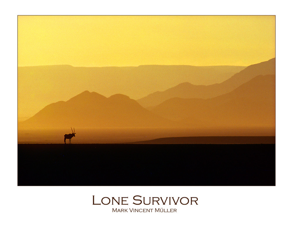 Lone Survivor